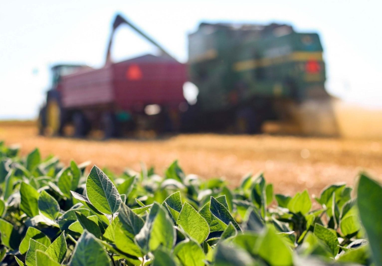 Agronegócio comanda economia baiana | Foto: GOVBA
