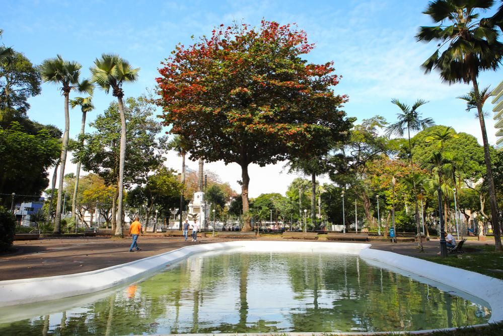 Uma op&ccedil;&atilde;o &eacute; o Largo do Campo Grande, que conta com uma ampla &aacute;rea verde e &aacute;rvores. | Foto: Lucas Moura/Secom PMS