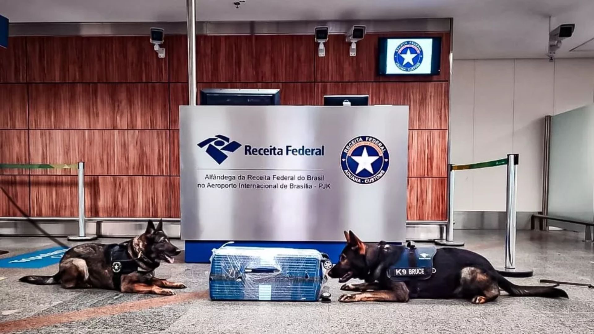 Os chamados cães de faro da Receita Federal passam por processo seletivo | Foto: ilustrativa/divulgação/Receita Federal