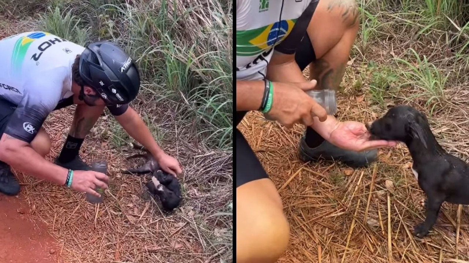 Durante o percurso por uma estrada de terra, em um dia de calor pr&oacute;ximo a 37 &ordm;C, o esportista encontrou um cachorro abandonado. | Foto: Redes Sociais