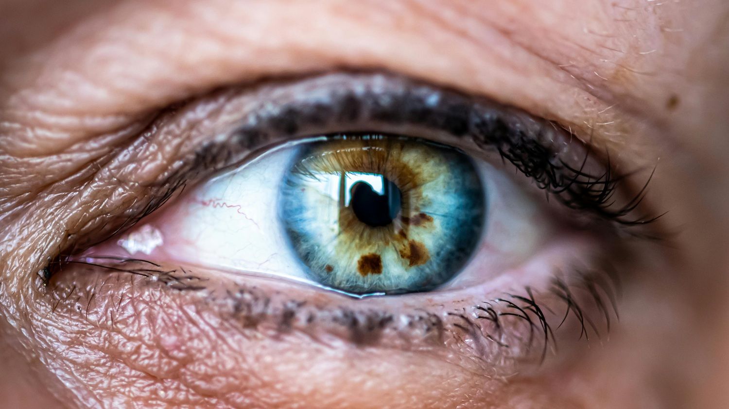 A pesquisa descreve como a conexão entre os dispositivos devolve ao organismo a capacidade de decodificar estímulos luminosos. | Foto: Ilustrativa/Pexels