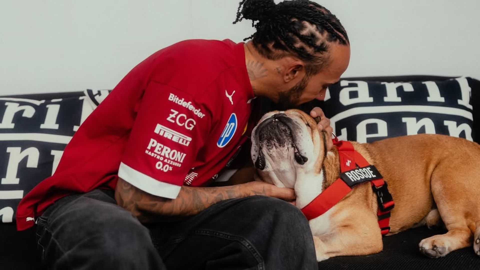 Roscoe acompanha Hamilton frequentemente nos eventos da Fórmula 1 | Foto: reprodução/Instagram (@roscoelovescoco)