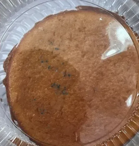 Segundo a Pol&iacute;cia Civil, o consumidor j&aacute; havia ingerido parte do alimento quando percebeu a presen&ccedil;a do animal. | Foto: Redes Sociais