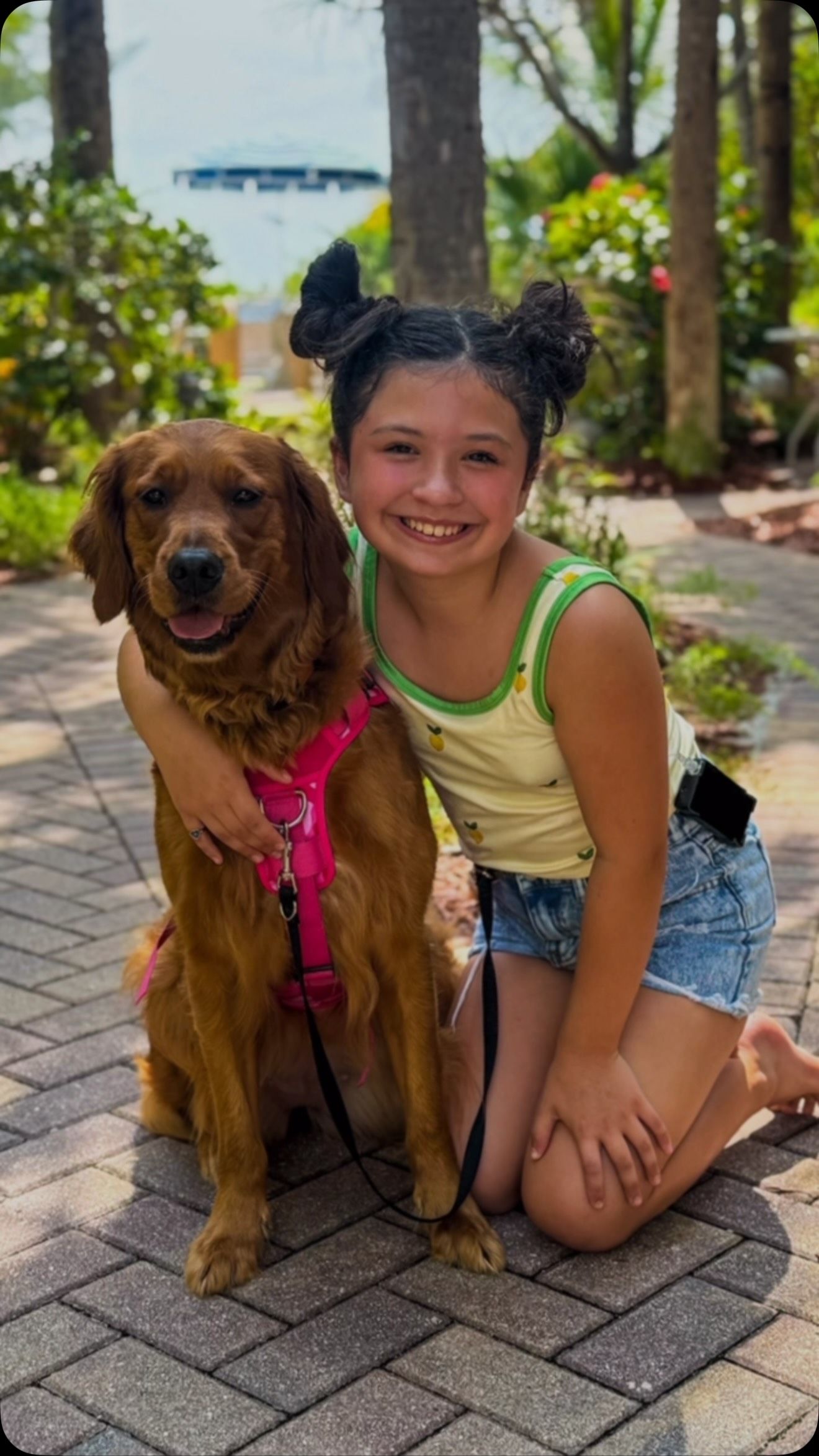 Treinada para identificar altera&ccedil;&otilde;es nos n&iacute;veis de glicose no sangue, Marley passou a fazer parte da rotina de Piper. | Foto: Redes Sociais