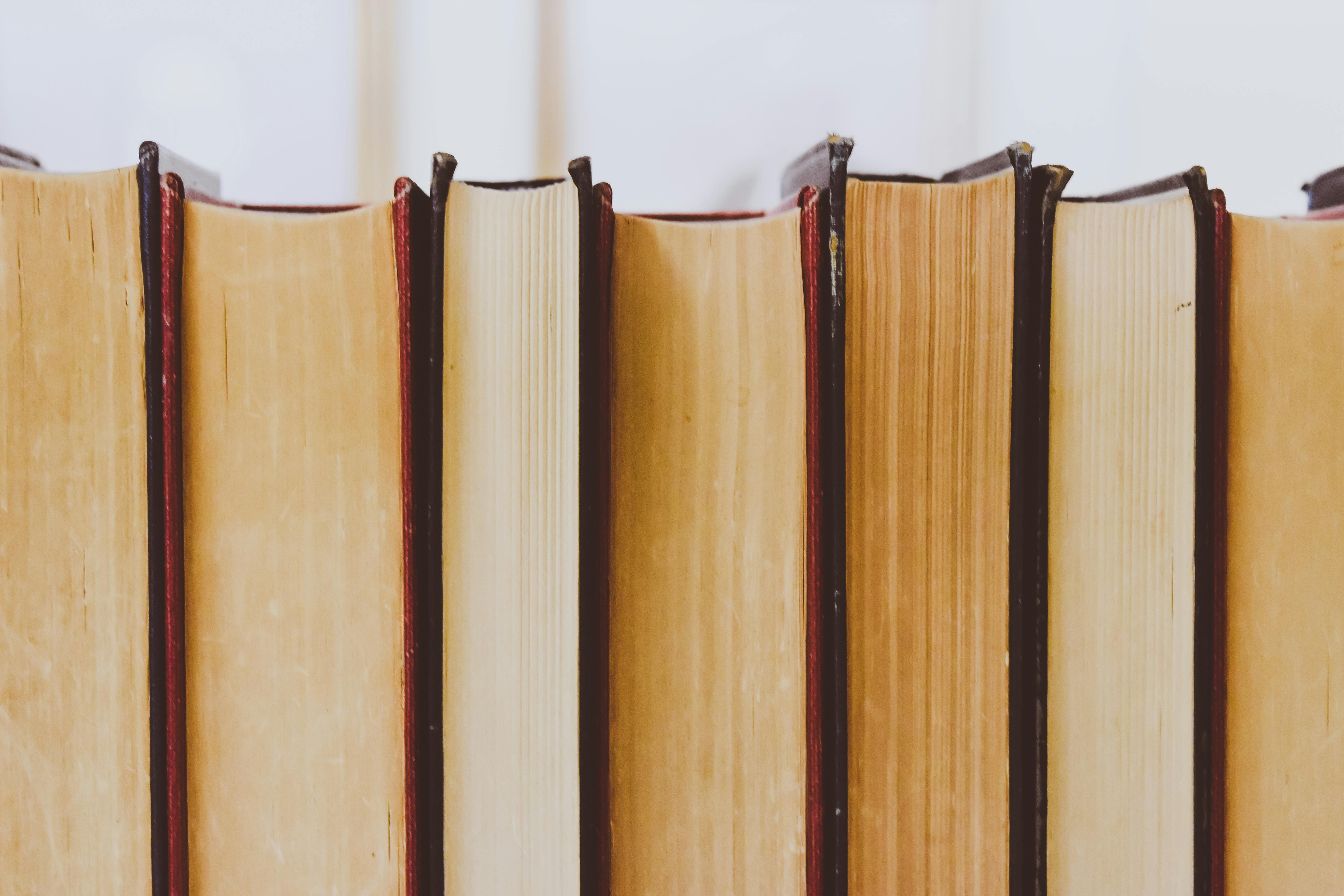 Estudantes De Feira De Santana Criaram Livro Infantil Antirracista| Foto:  Ilutração Pexels