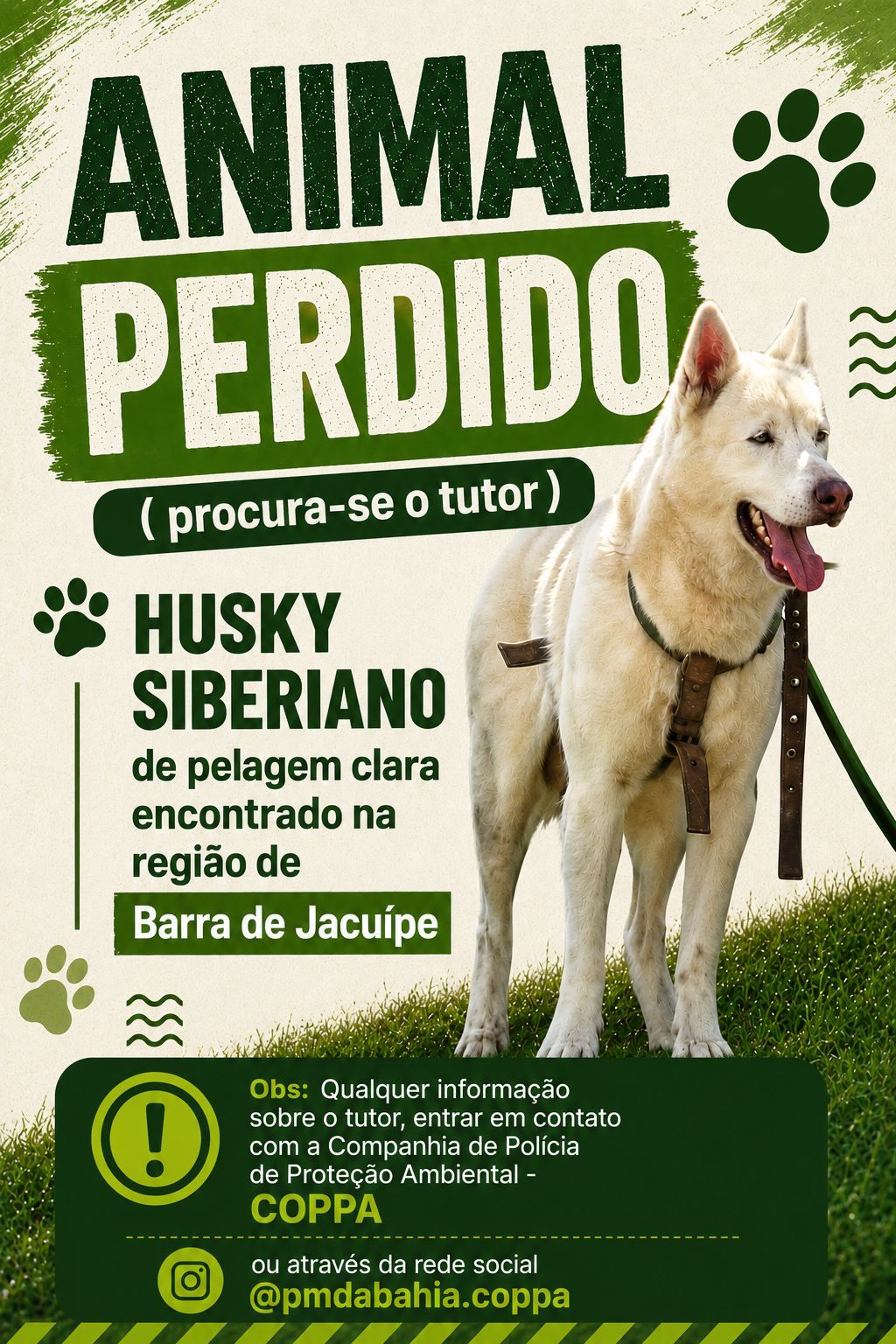 Ao chegarem ao local, os policiais encontraram o c&atilde;o em seguran&ccedil;a. | Foto: SSP-BA