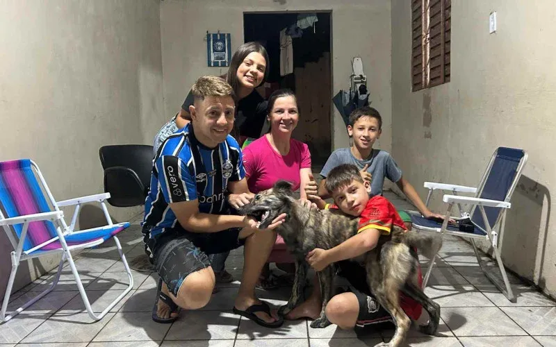 Ap&oacute;s o espet&aacute;culo, o animal ficou temporariamente sob cuidados de moradores da regi&atilde;o e foi adotado no dia seguinte. | Foto: Bruno Morais/GES-Especial