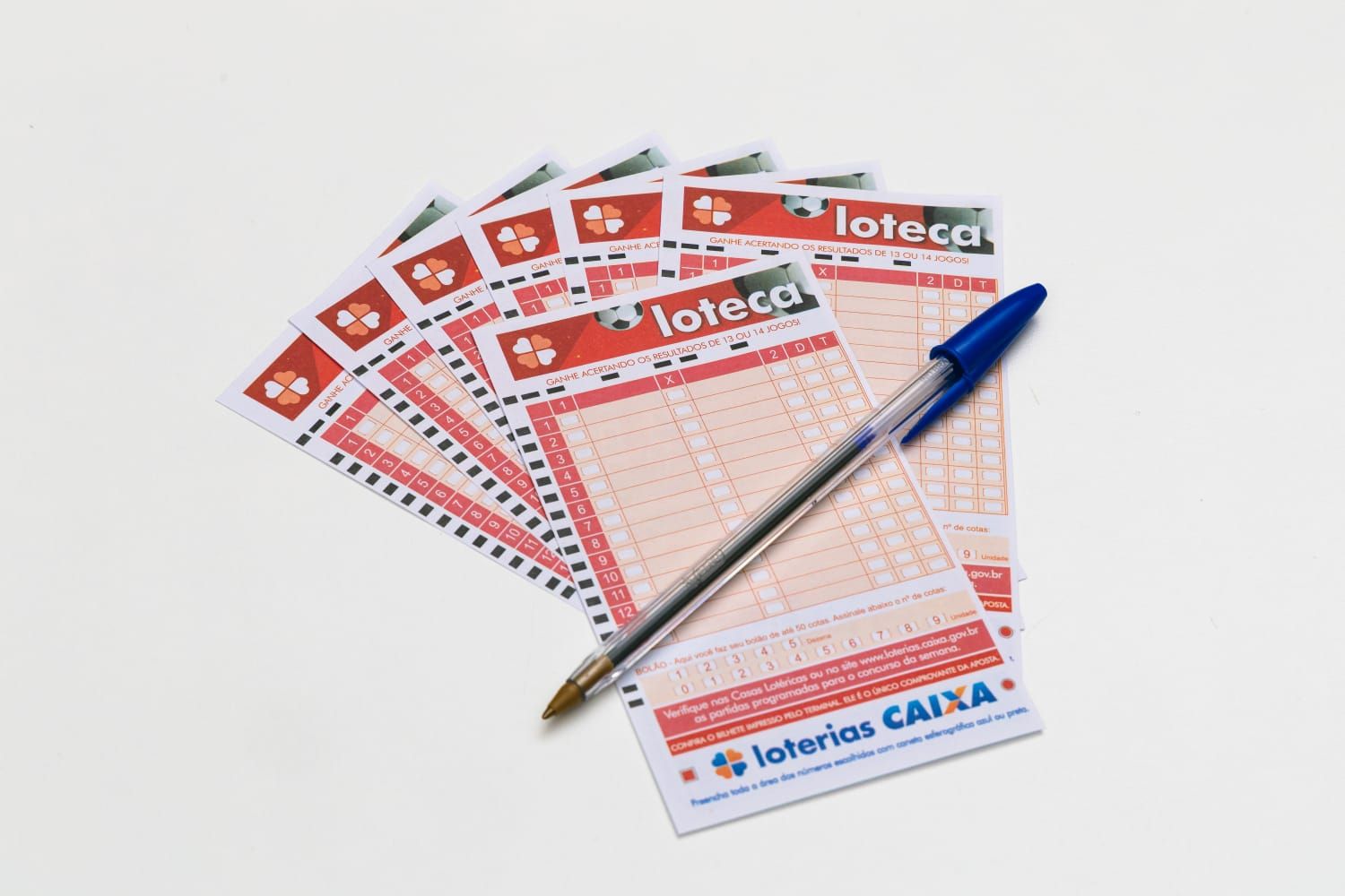 Foto: Robson Cesco/CAIXA