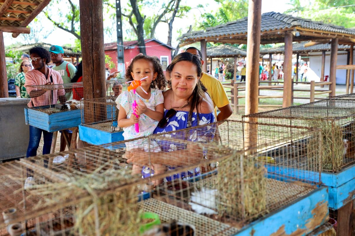 Fenagro 2025 expõe mais de 3 mil animais. Foto: Ascom / Seagri