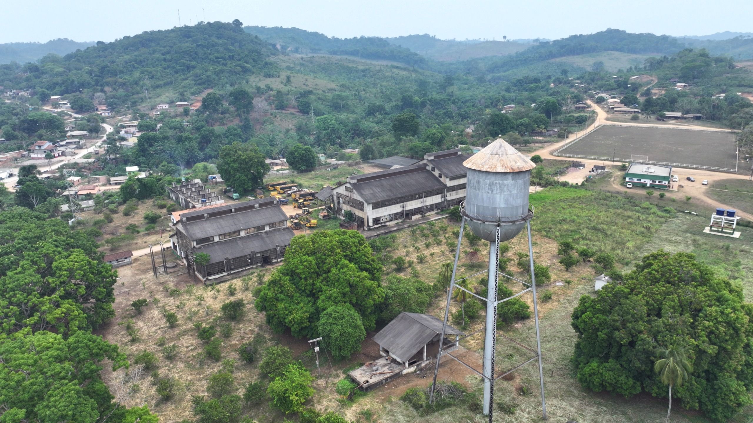 As seringueiras foram plantadas a quatro metros umas das outras, dist&acirc;ncia equivalente &agrave; metade do espa&ccedil;amento encontrado na natureza. | Foto: Divulga&ccedil;&atilde;o