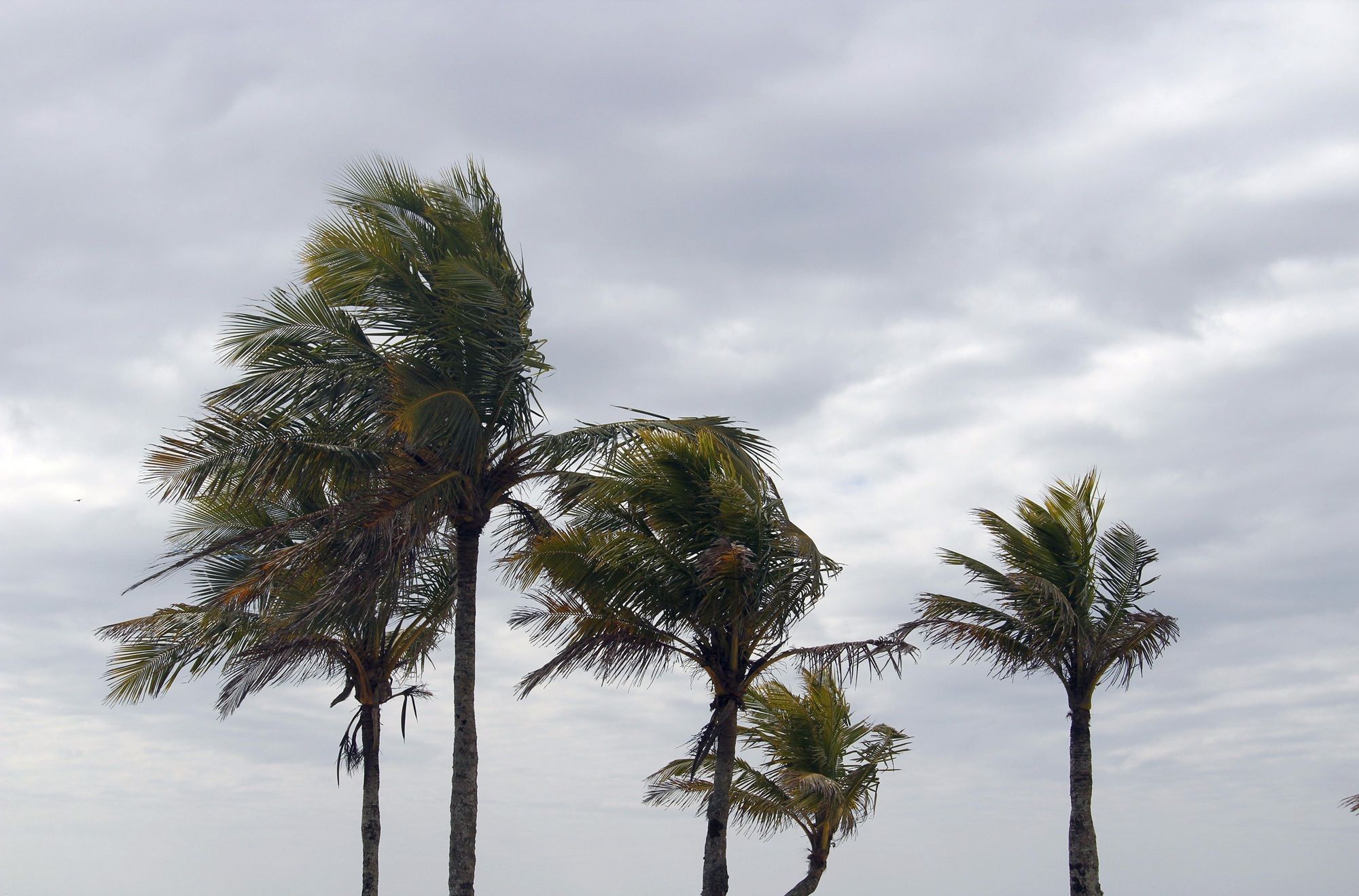O Inmet emitiu um alerta de perigo potencial para vendaval em mais de 80 munic&iacute;pios da Bahia. | Foto: Ilustrativa/Pexels