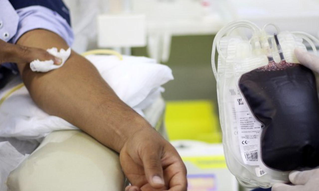 Doação De Sangue