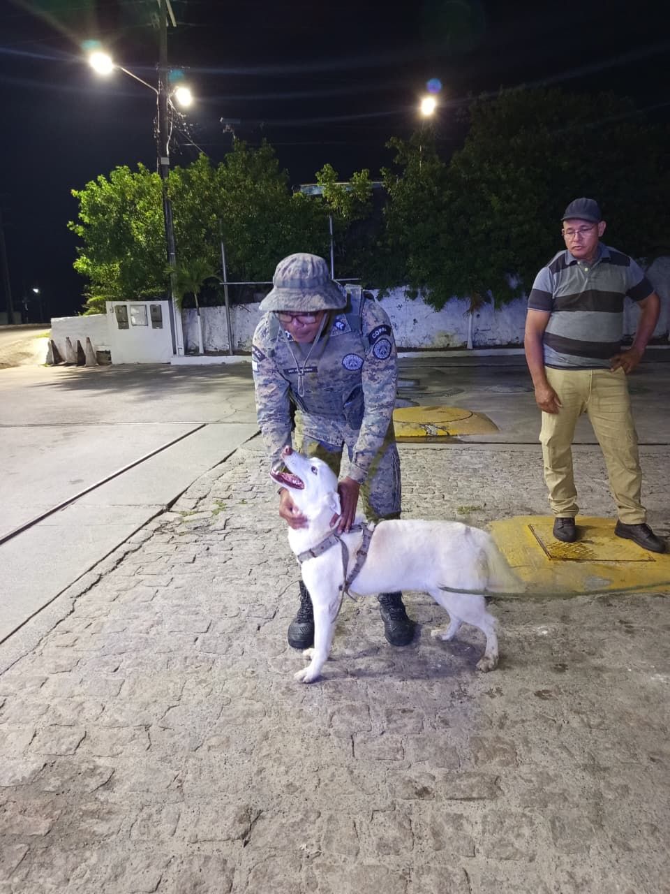 Um cachorro da ra&ccedil;a Husky Siberiano foi resgatado por policiais militares da Coppa em Cama&ccedil;ari. | Foto: SSP-BA