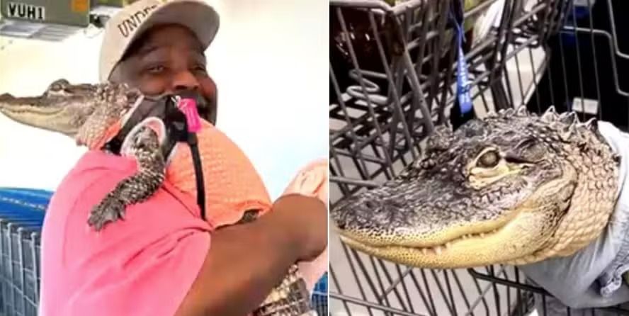 A administração do Walmart confirmou a decisão e afirmou que prioriza a segurança de clientes e fornecedores. | Foto: Redes Sociais