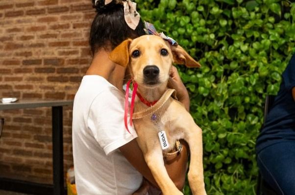 O Parque Shopping Bahia, em Lauro de Freitas, realiza, neste sábado (22), uma edição especial de Natal do projeto Adote no Parque. | Foto: Divulgação