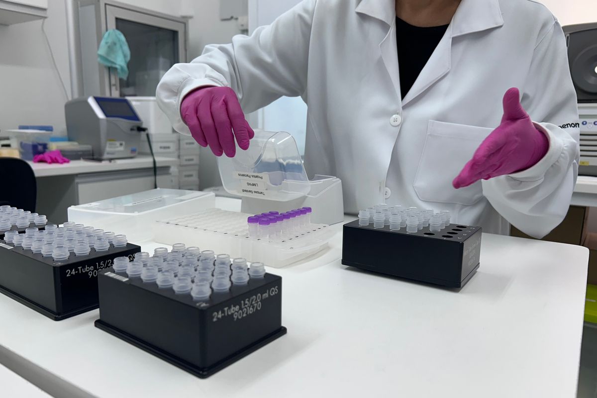 Representatividade da diversidade gen&eacute;tica brasileira em estudos gen&eacute;ticos ir&aacute; promover avan&ccedil;os na medicina de precis&atilde;o. Foto: Fernanda Magalh&atilde;es