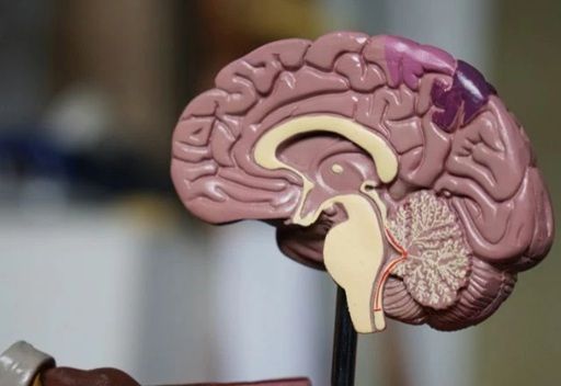 União Europeia Aprova Uso De Medicamento Inédito Para Tratamento Do Alzheimer