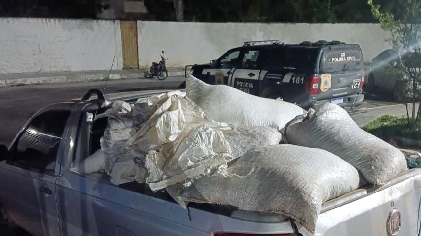Uma carga de caf&eacute; avaliada em cerca de R$ 50 mil, furtada de propriedades rurais da regi&atilde;o de Eun&aacute;polis, foi recuperada pela Pol&iacute;cia Civil. | Foto: Pol&iacute;cia Civil/Ascom