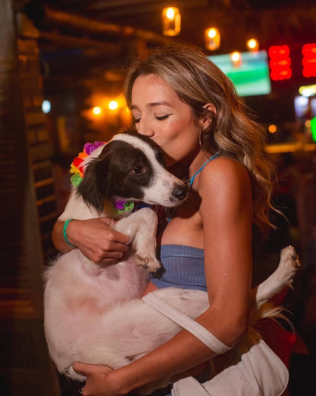 A hist&oacute;ria do animal j&aacute; havia sensibilizado o p&uacute;blico antes mesmo da estreia do reality. | Foto: Redes Sociais