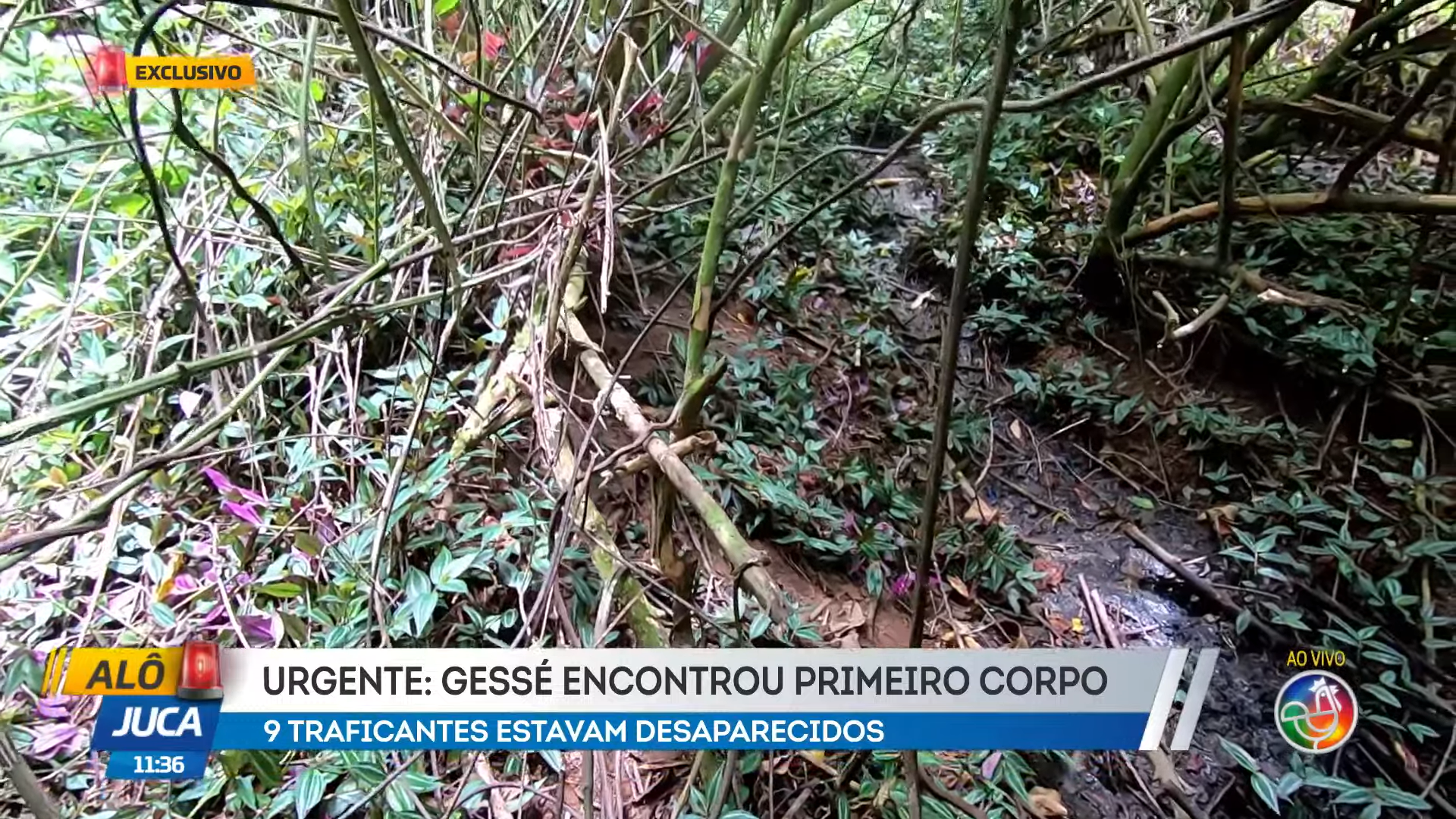De acordo com a Polícia Militar, equipes realizavam uma intensificação do policiamento na região de Cajazeiras quando entraram em uma área de mata. | Foto: Reprodução/TV Aratu