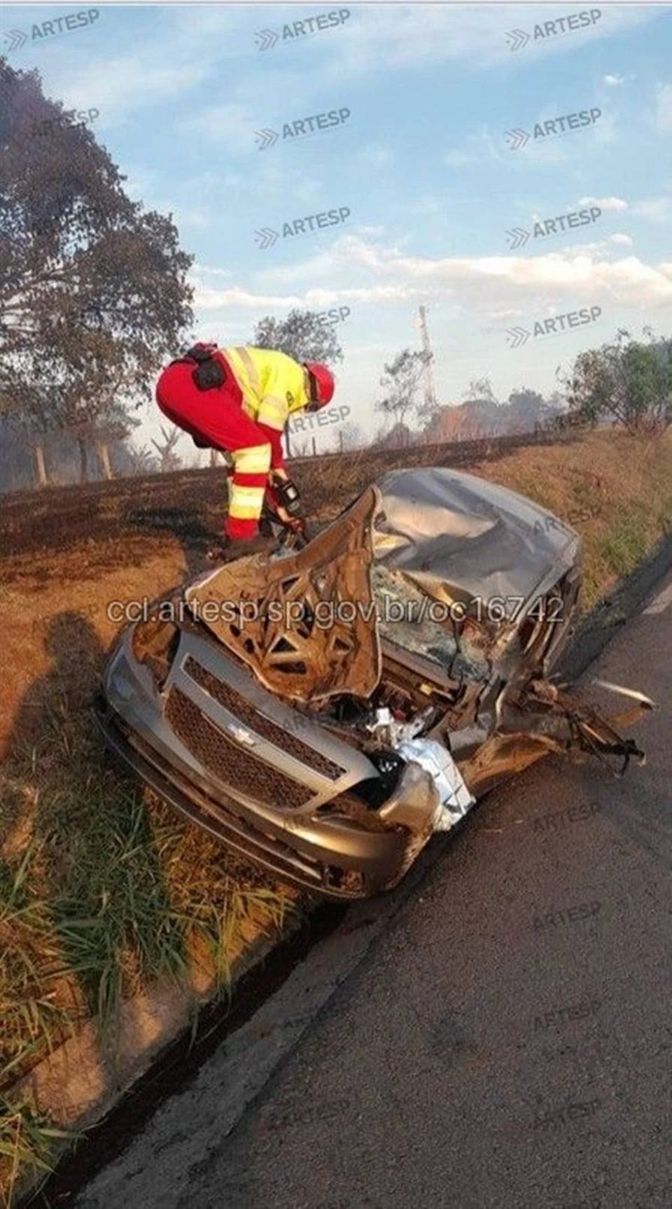 Árvore Em Chamas Caiu Sobre O Veículo Do Casal