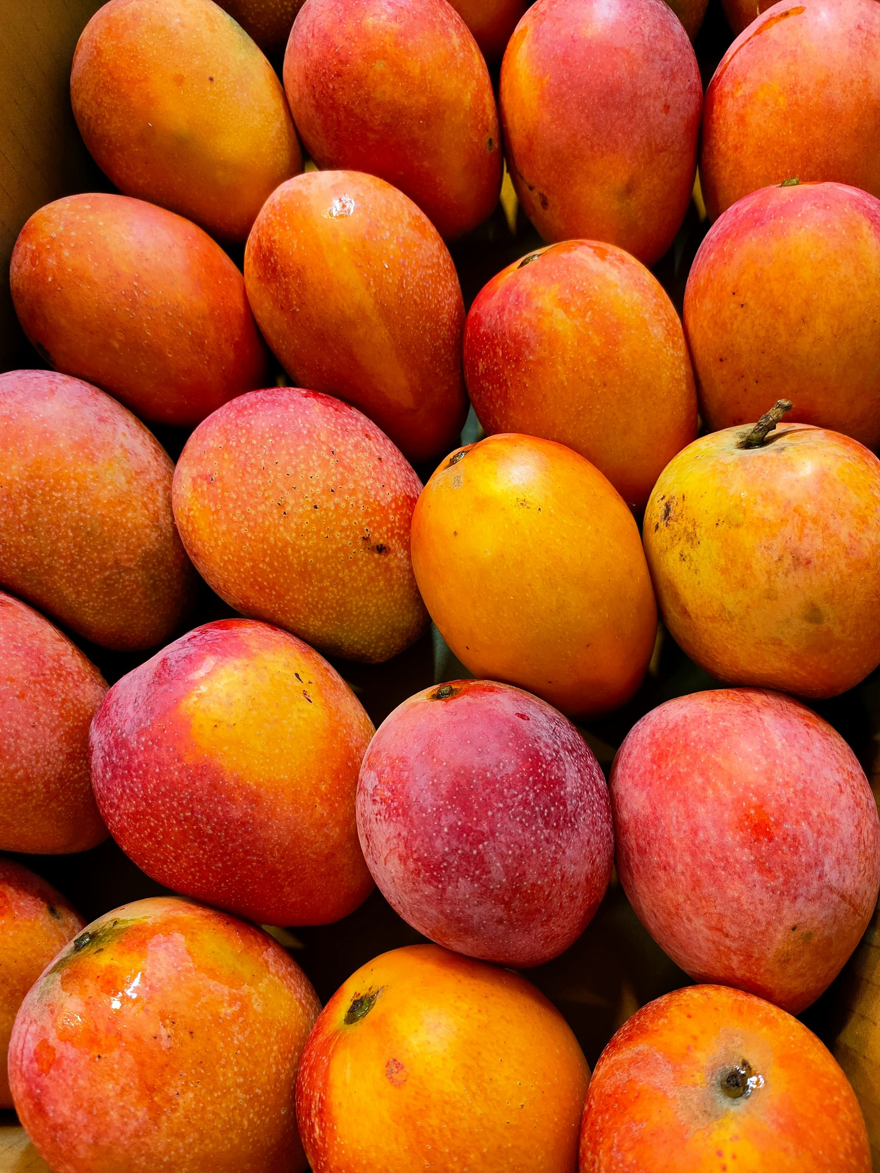 Especialistas reforçam que, antes de fazer alterações na alimentação, é recomendada a orientação de um nutricionista. | Foto: Ilustrativa/Pexels