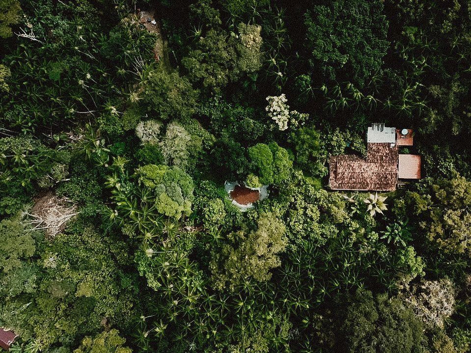 No in&iacute;cio, a produ&ccedil;&atilde;o se concentrou no cacau, que j&aacute; era cultivado na propriedade. | Foto: Arquivo Pessoal