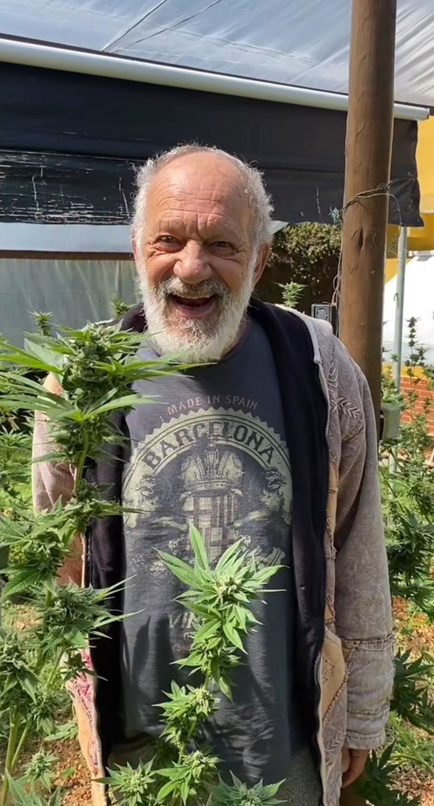 O ator Ricardo Petraglia, de 74 anos, mostrou aos seguidores a plantação de cannabis que mantém em um sítio em Xerém. | Foto: Redes Sociais