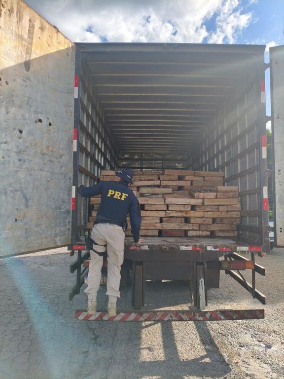 A carga era transportada de forma irregular, segundo a corpora&ccedil;&atilde;o. | Foto: PRF/Ascom