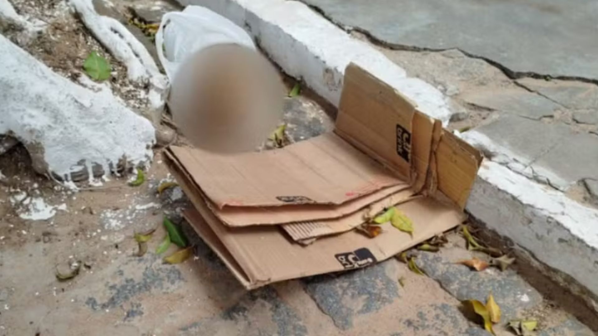 Crânio humano. Foto: Redes sociais