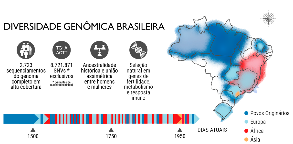 A linha do tempo representa os diversos pulsos de miscigena&ccedil;&atilde;o que moldaram o genoma da popula&ccedil;&atilde;o brasileira desde o ano 1500 at&eacute; o presente. O mapa ilustra as contribui&ccedil;&otilde;es ancestrais predominantes em cada regi&atilde;o do Pa&iacute;s, com base nos genomas de 2.723 pessoas que foram analisados no estudo - Fonte: Admixture&rsquo;s impact on Brazilian population evolution and health (Science, 2025)