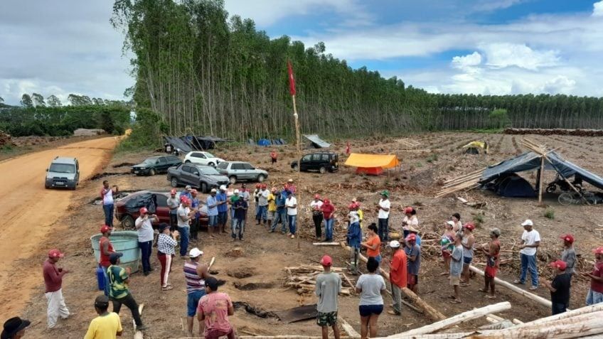 Ocupação do MST em fazenda de cultivo de eucalipto | Foto: divulgação