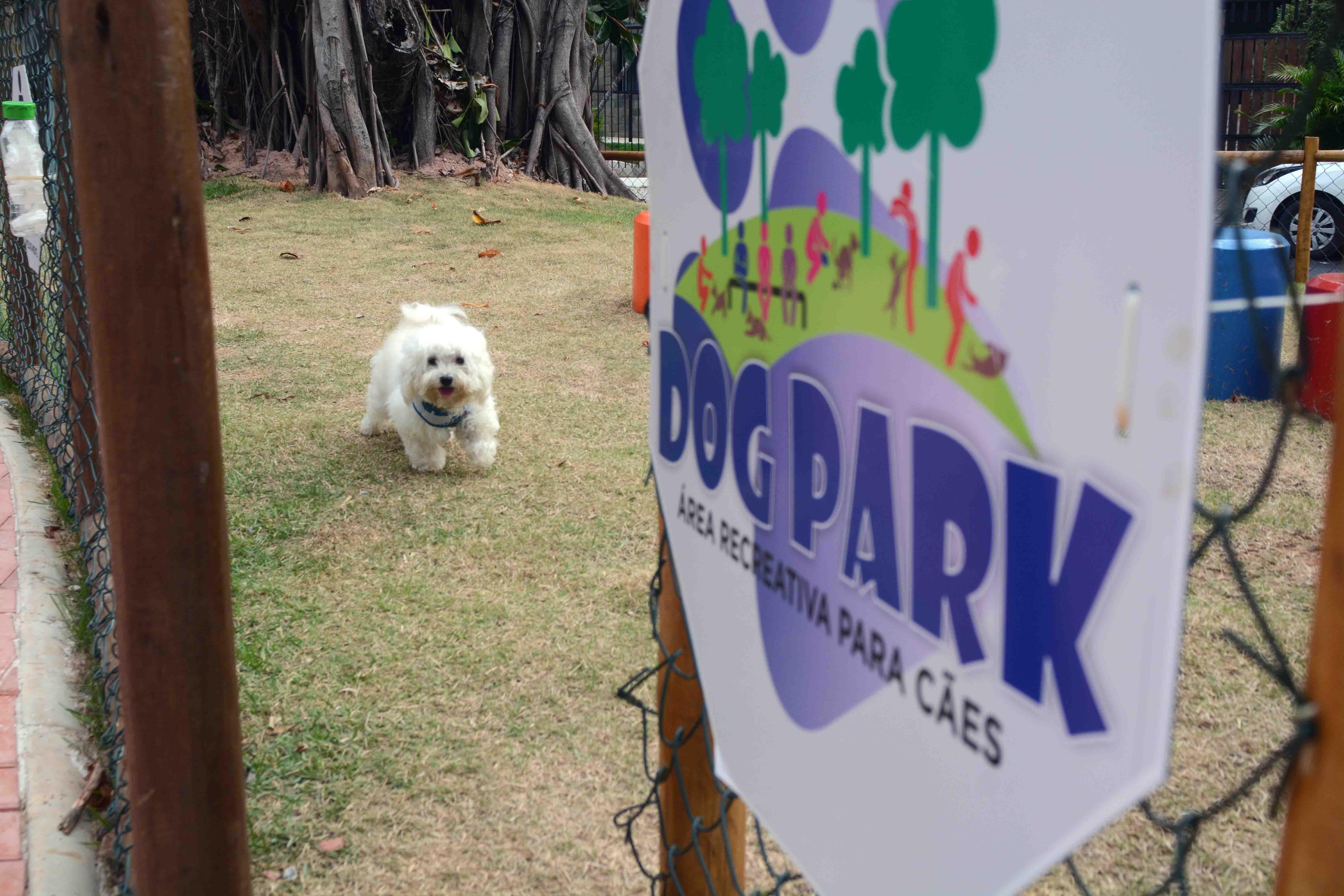 Para quem procura um espa&ccedil;o pensado especificamente para os c&atilde;es, Salvador conta com Dog Parks. | Foto: Secom PMS