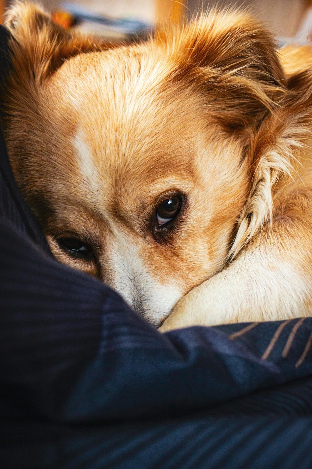 As explos&otilde;es podem provocar ansiedade, medo e a chamada resposta de luta ou fuga. | Foto: Ilustrativa/Pexels
