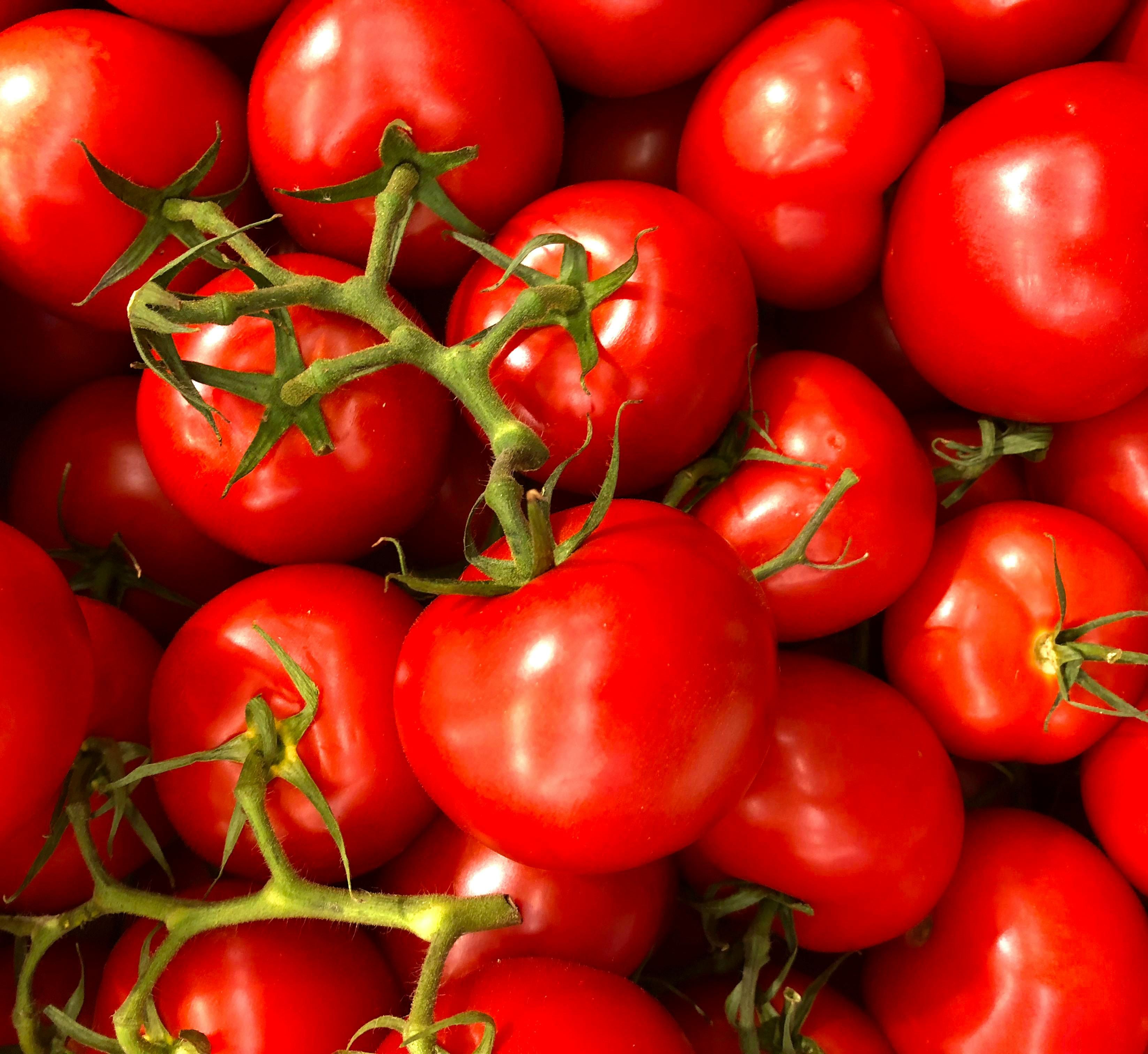 A Anvisa determinou o recolhimento de um lote do molho de tomate da marca Mastromauro Granoro após a identificação de fragmentos de vidro. | Foto: Ilustrativa/Pexels