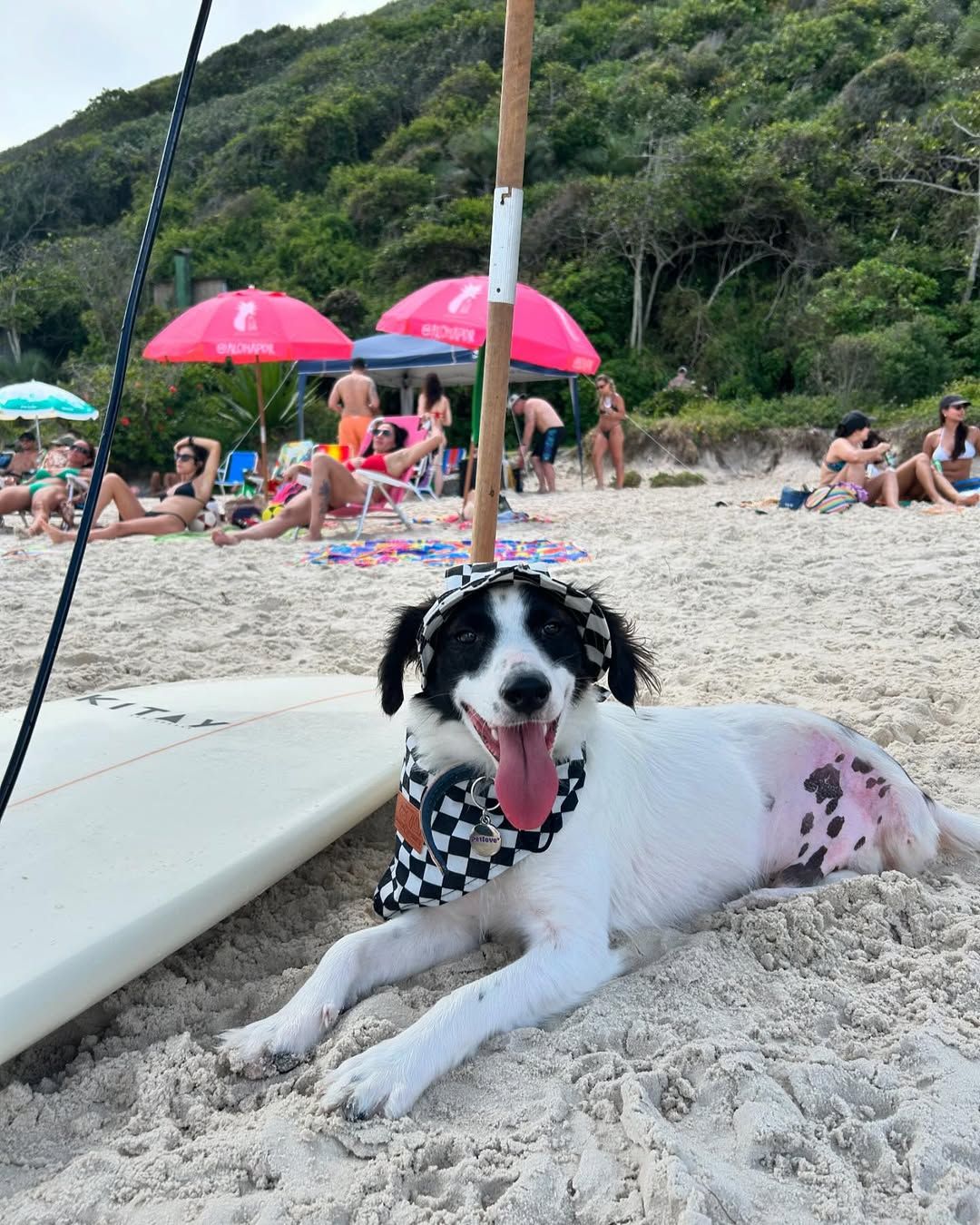 No Instagram, Lindolfo soma atualmente 105 mil seguidores. | Foto: Redes Sociais