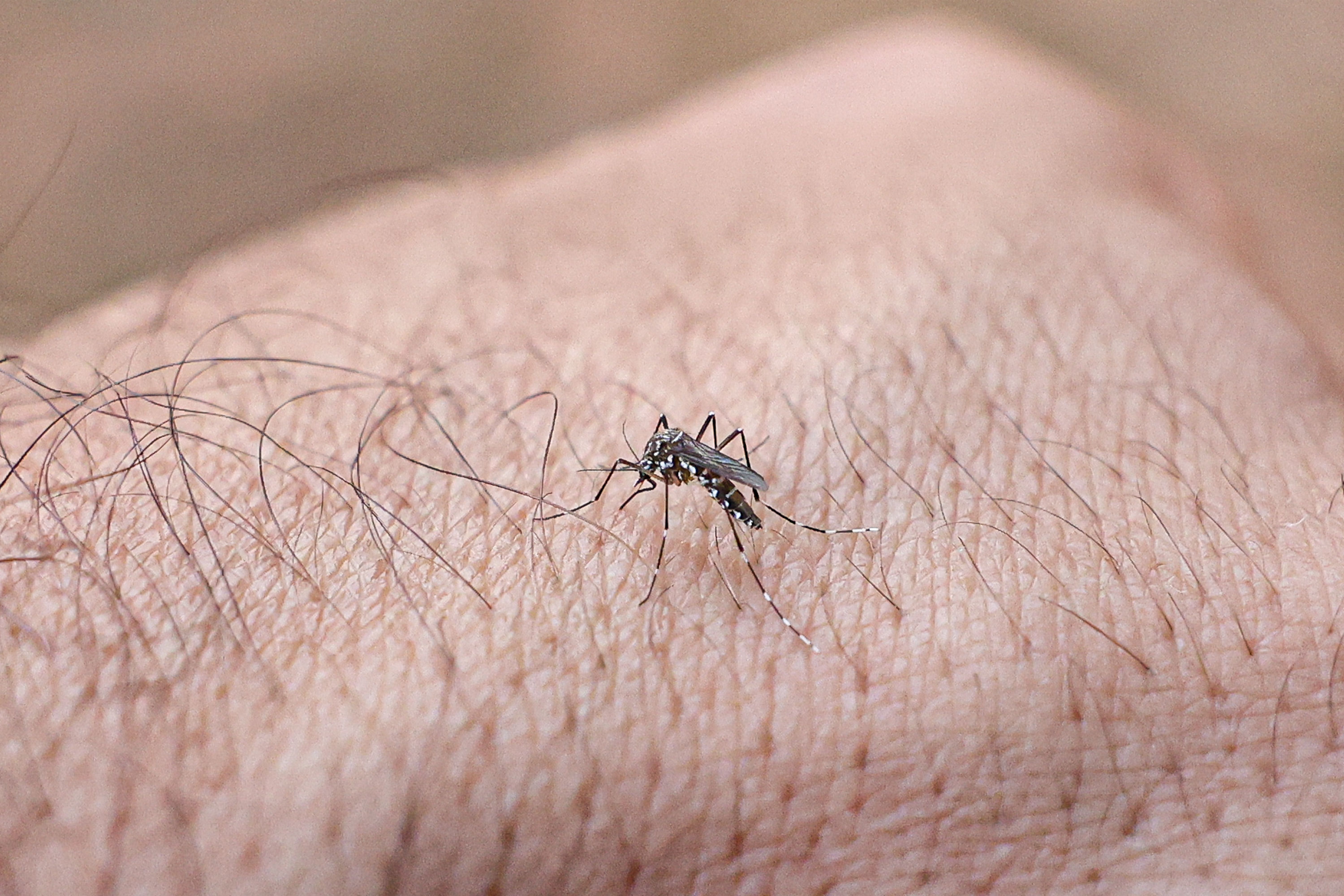 Em relação aos casos prováveis, o país soma 1.574.163 infecções. | Foto: Marcelo Camargo/Agência Brasil