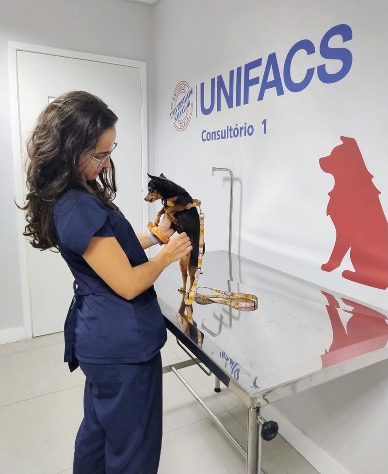 A campanha tamb&eacute;m ter&aacute; um eixo dedicado &agrave; sa&uacute;de reprodutiva dos animais. | Foto: Divulga&ccedil;&atilde;o
