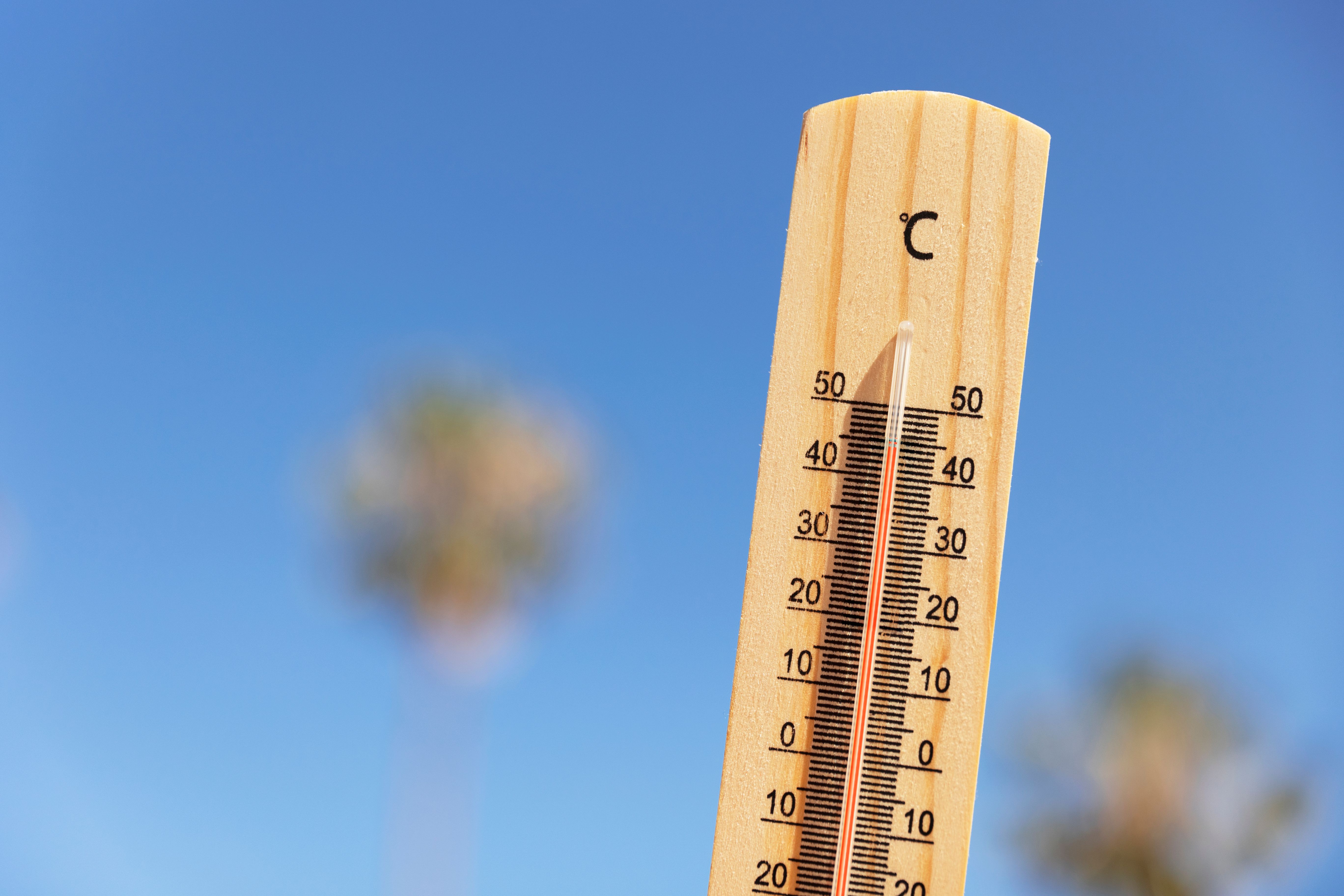 A Bahia aparece como o&nbsp;terceiro estado brasileiro com o maior n&uacute;mero de focos de calor registrados entre os dias 5 e 11 de julho . | Foto: Ilustrativa/Pexels