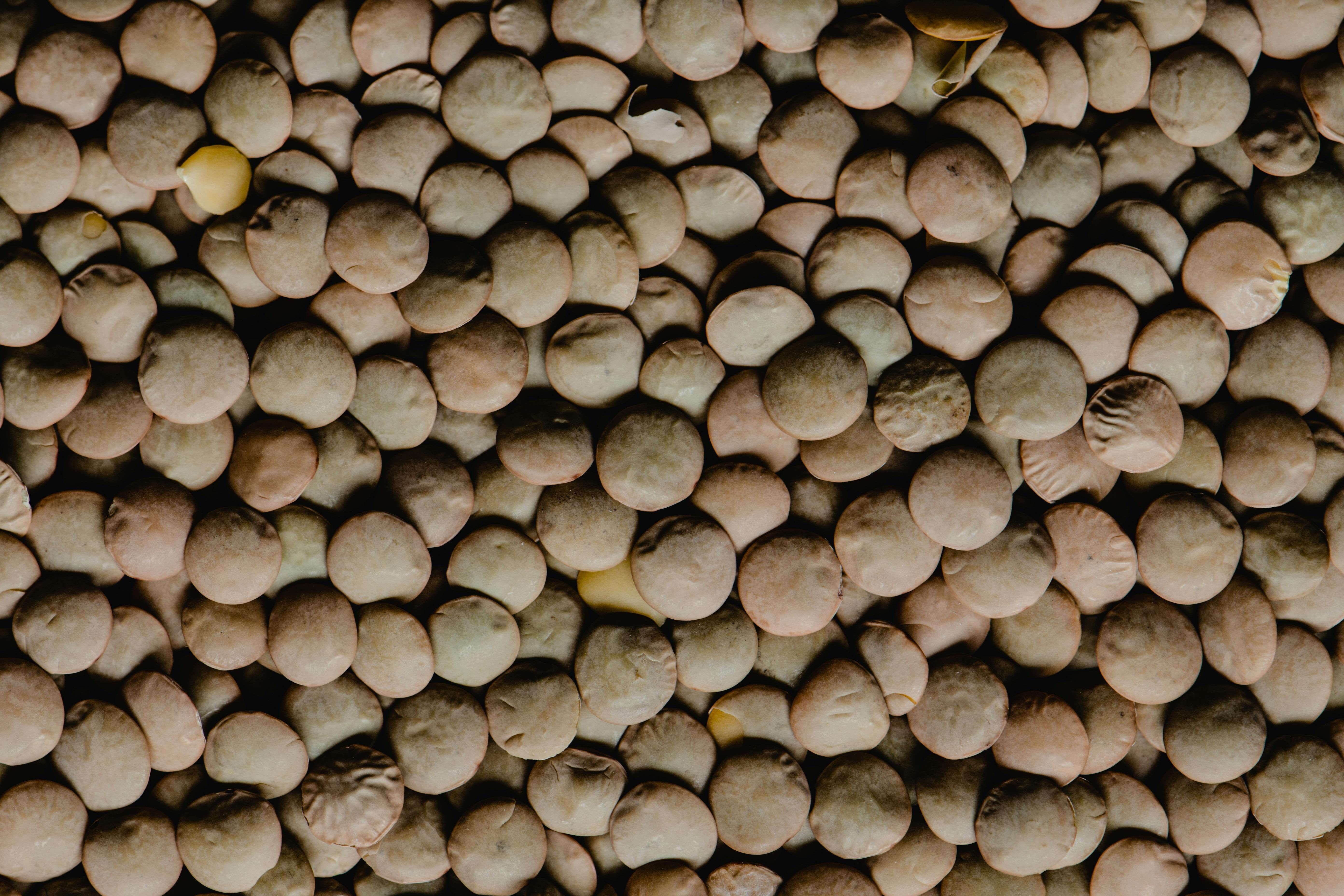 A lentilha &eacute; associada &agrave; prosperidade e &agrave; fartura e costuma ser servida em saladas, no arroz ou como acompanhamento. | Foto: Ilustrativa/Pexels