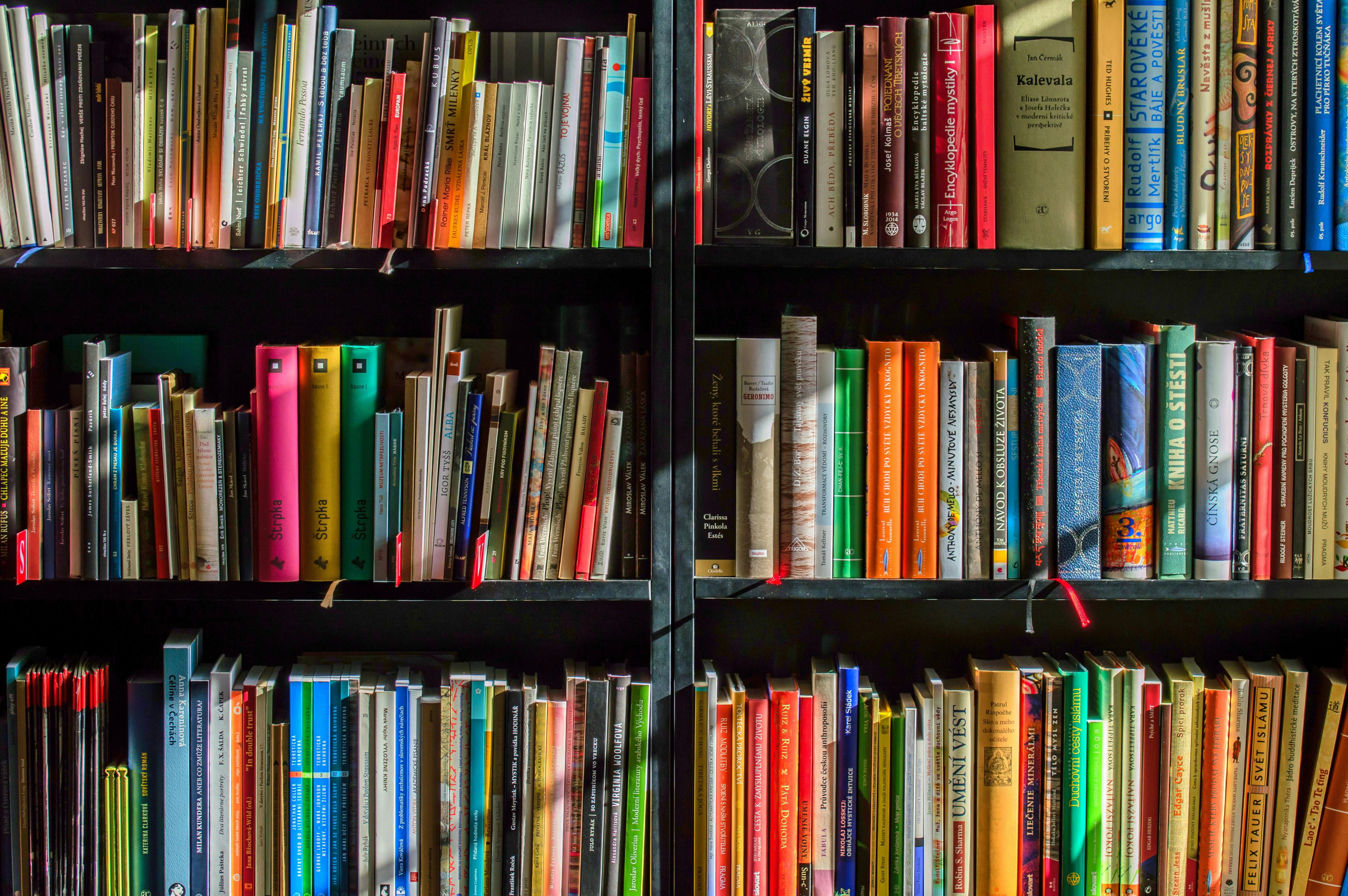 A biblioterapia, prática que utiliza a literatura como ferramenta de acolhimento, autoconhecimento e desenvolvimento pessoal, vem conquistando cada vez mais espaço no Brasil. | Foto: Ilustrativa/Pexels