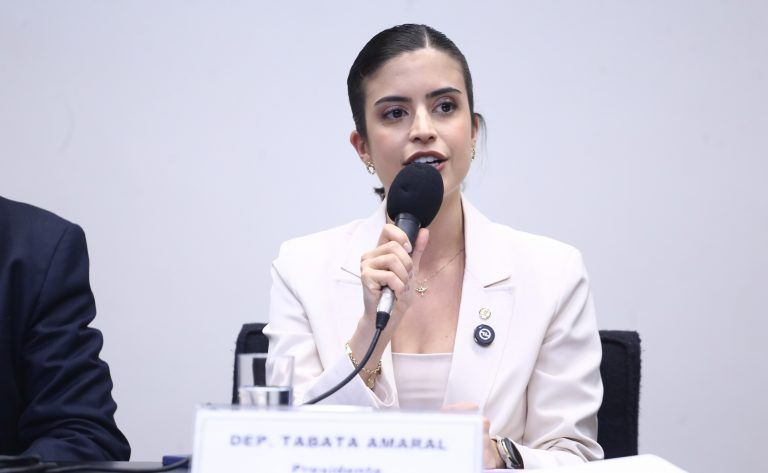 Tabata Amaral (PSB-SP), presidente da comissão especial sobre o PNE. Foto: Vinicius Loures / Câmara dos Deputados