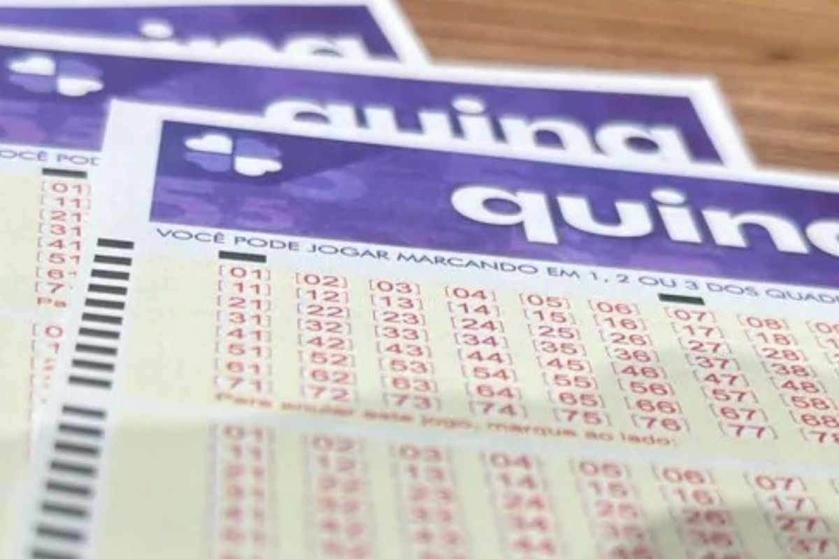 Qauina. Foto: Lucas Pereira / Aratu On