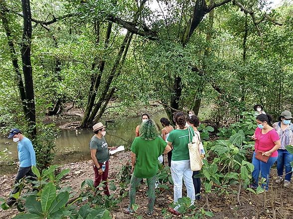 Vale Encantado, em Jaguaribe, fica ameaçado com mudanças promovidas | Foto: SOS Vale Encantado