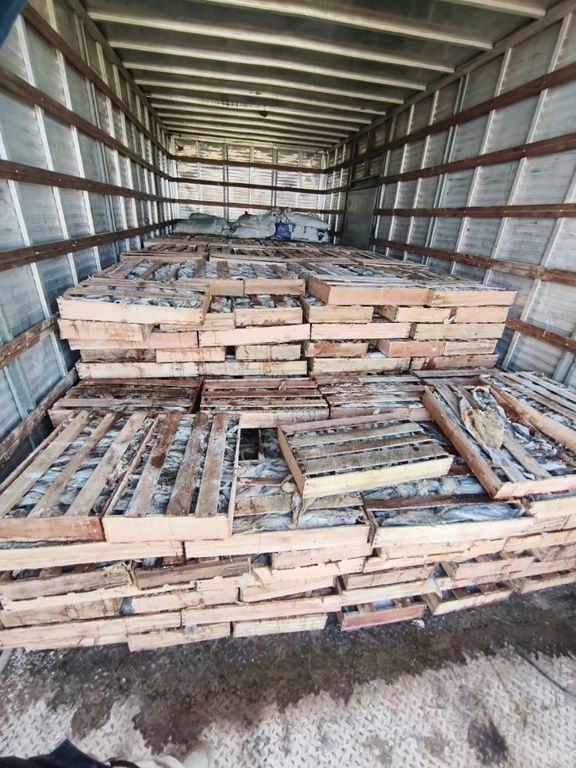 Cerca de nove toneladas de peixe foram apreendidas durante uma fiscaliza&ccedil;&atilde;o da PRF na BR-116, no munic&iacute;pio de Milagres. | Foto: PRF/Ascom