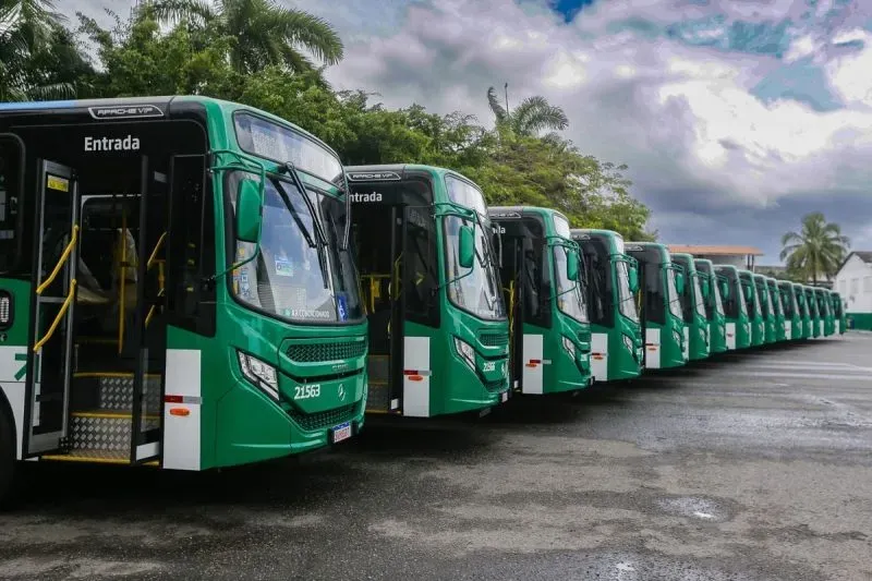 Operação Praia 2025 terá apoio de ônibus da frota reguladora. Foto: Divulgação