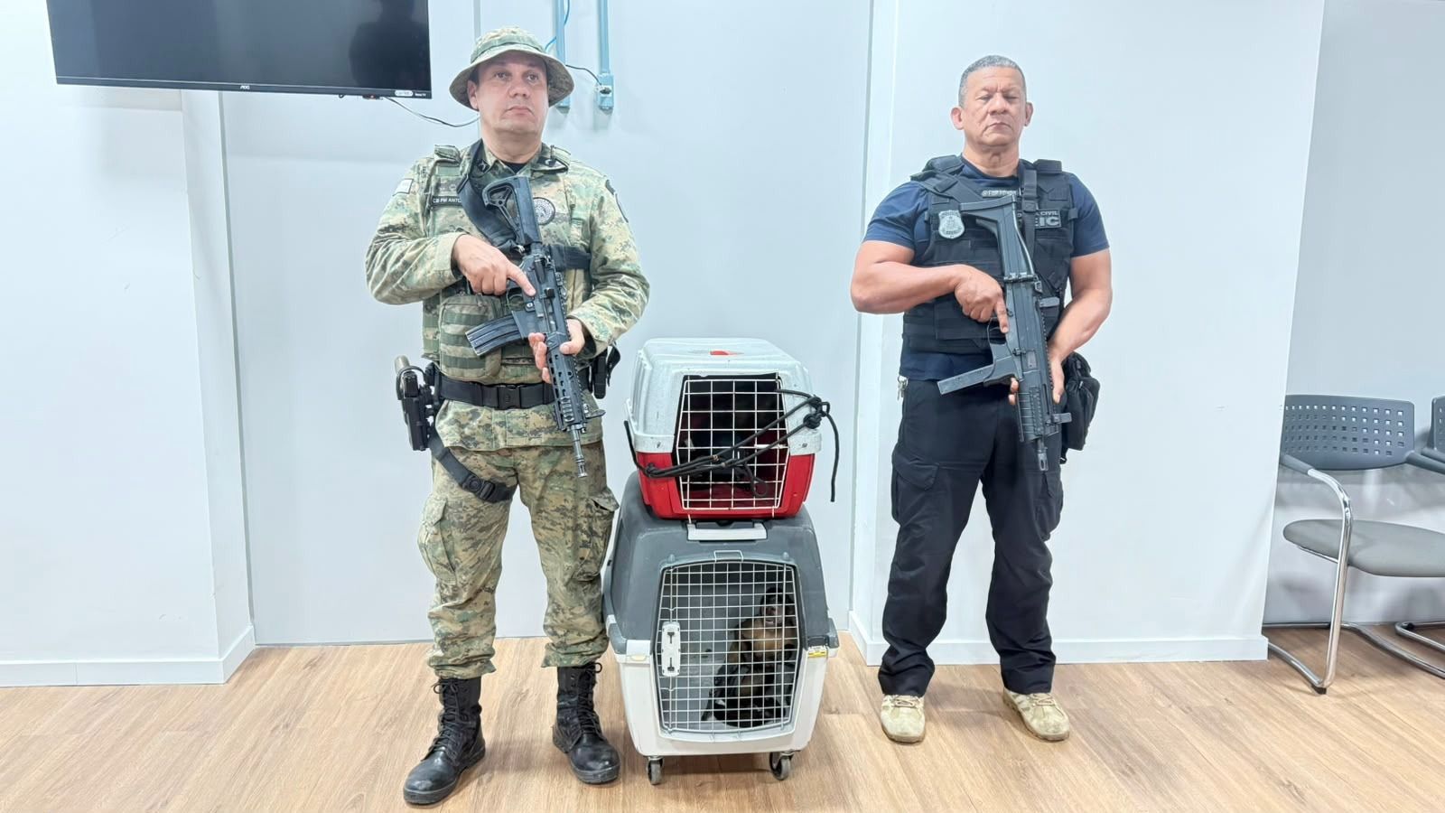 Um dos macacos-prego resgatados, segundo v&iacute;deo divulgado pela Pol&iacute;cia Civil, estava vestido de cal&ccedil;a jeans e blusa. | Foto: SSP-BA