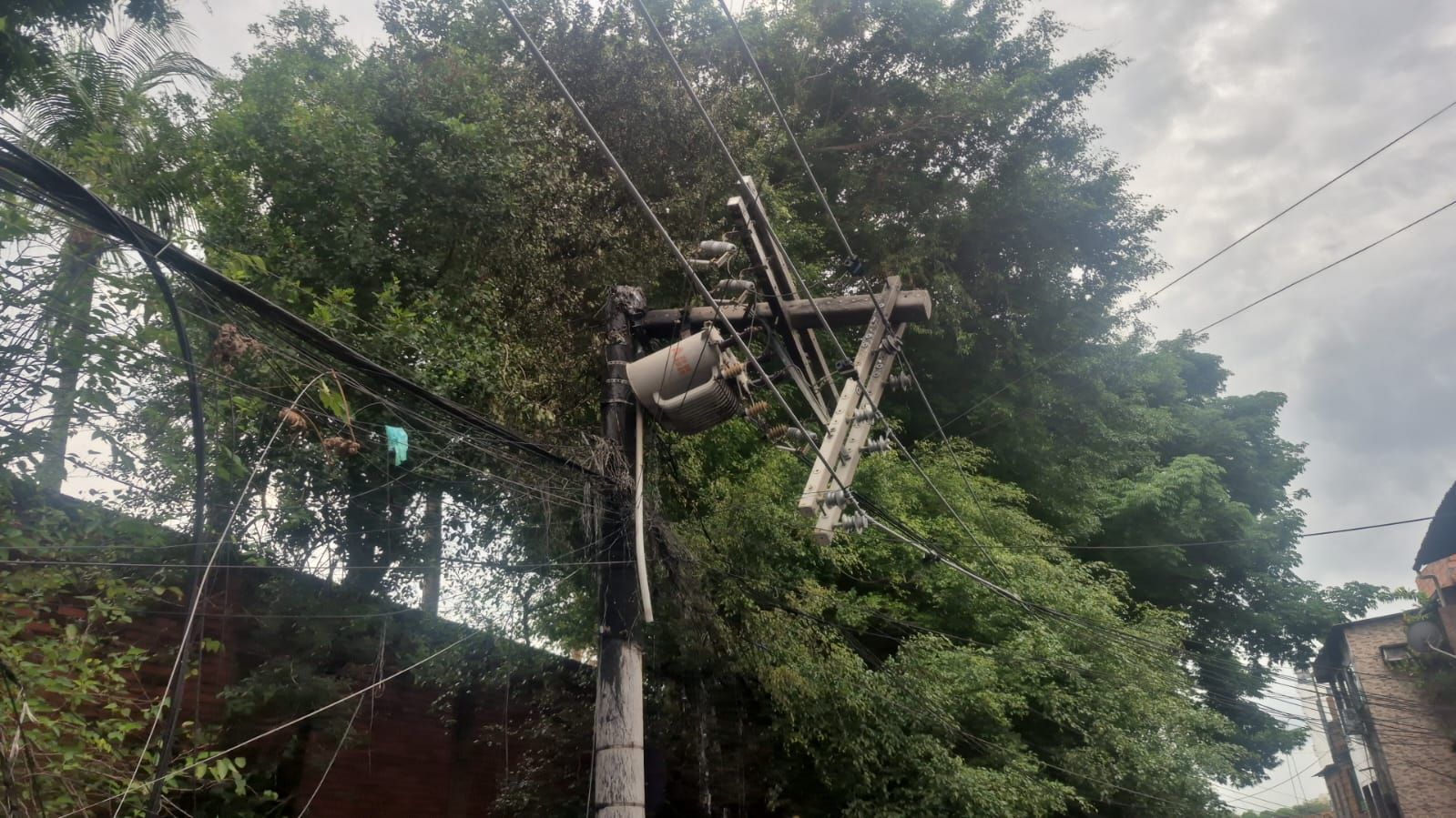 A recomposi&ccedil;&atilde;o completa da rede el&eacute;trica, que inclui a substitui&ccedil;&atilde;o de um poste, ser&aacute; realizada ap&oacute;s a retirada da vegeta&ccedil;&atilde;o. | Foto: Redes Sociais
