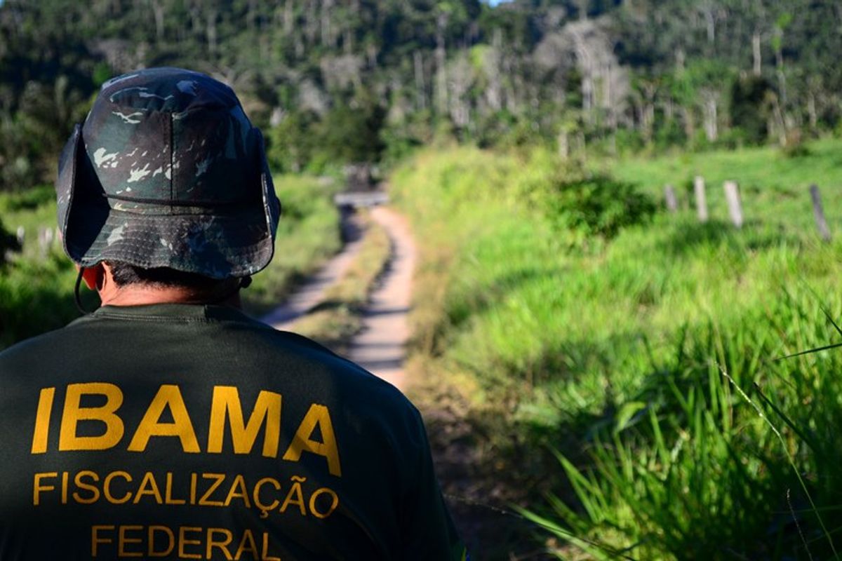 O Incra e o Ibama são duas autarquias federais distintas, cada uma com um papel crucial na gestão dos recursos naturais e do território brasileiro. Foto: Divulgação/Ibama
