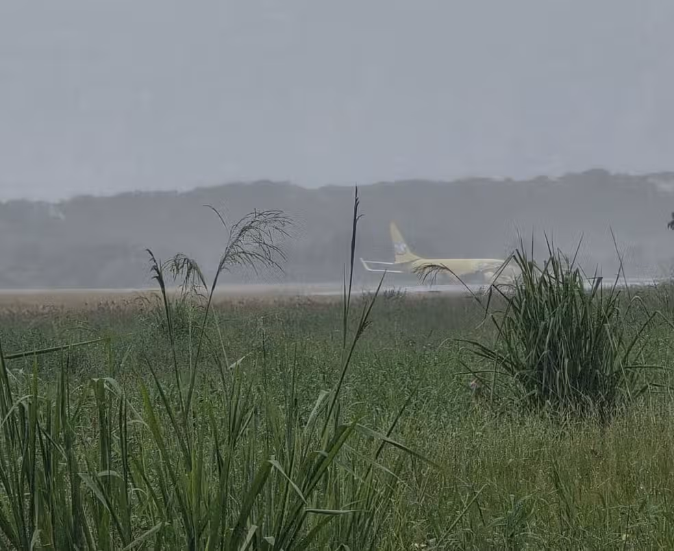 Um avi&atilde;o cargueiro da Gol Linhas A&eacute;reas saiu da pista ap&oacute;s pousar no Aeroporto Internacional de Salvador. | Foto: Redes Sociais